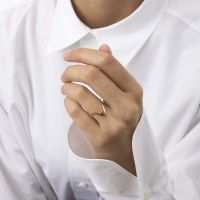 A BREND | Ring Penney goud 2